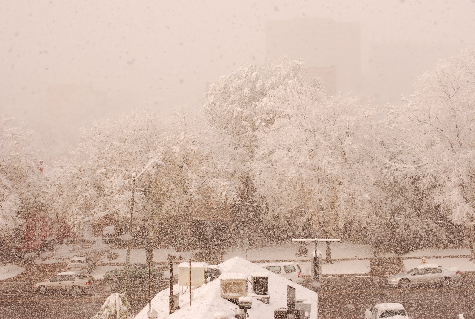 [Snow!+November+5,+2008.JPG]
