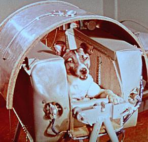 [laika(ap).jpg]