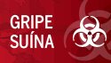 [logo_gripesuina.bmp]