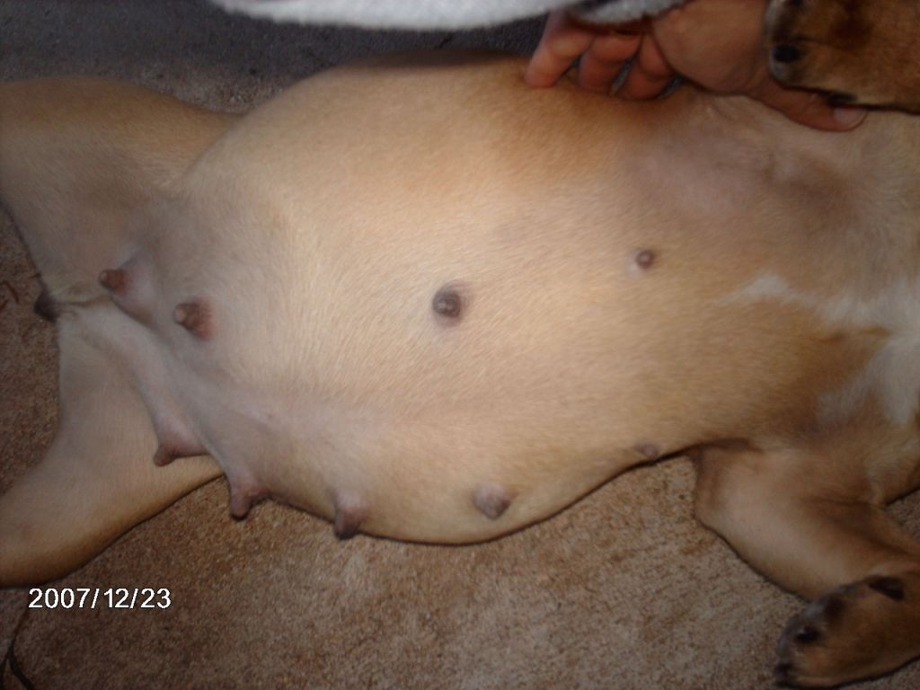 [Sam23.12.07-2-C-D.JPG]