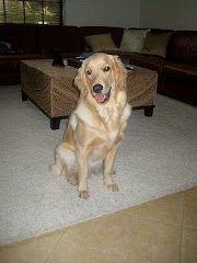 STANZIE NOSTRANO DI MALGA