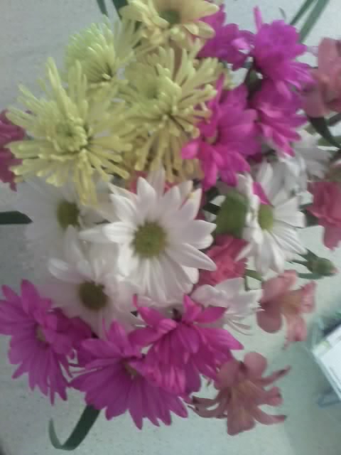 My flowers
