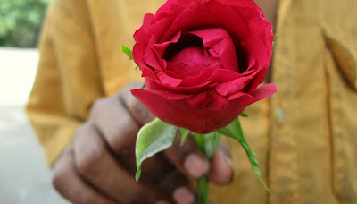 Rose in Hand, Sadiq, MysticSaint Photography