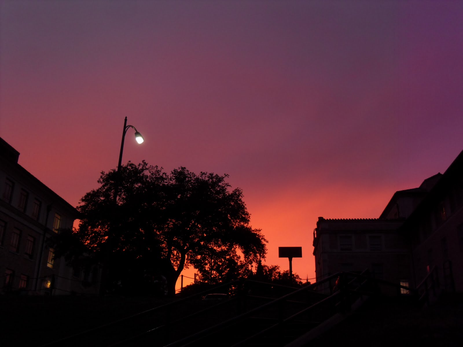 [SDC12473.JPG]