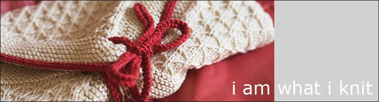 i am what i knit