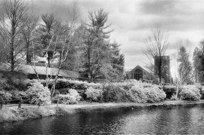 Duck Pond, Winchester, Mass. 2