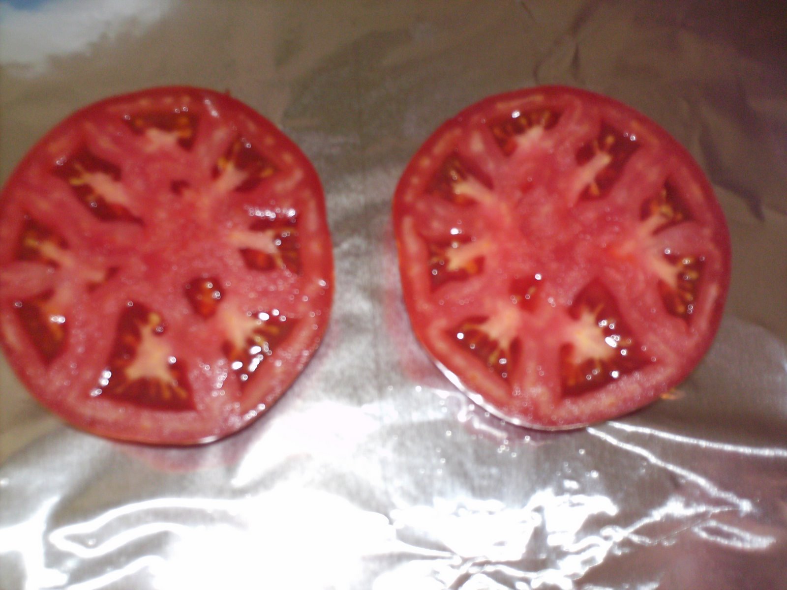 [Copy+of+HPIM3749.JPG]