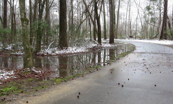 [Buckeye+back-up_1_1.jpg]