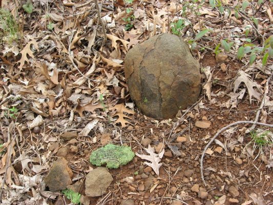 [iron-rich+boulder_1_1.JPG]