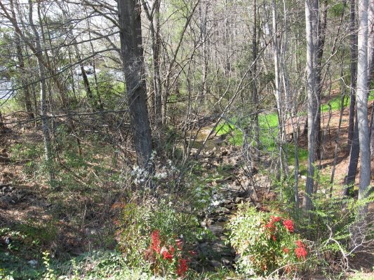 [Marsh+Creek+below+Spring+Forest_1_1.JPG]