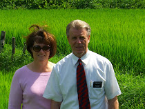 Windy Rice Field