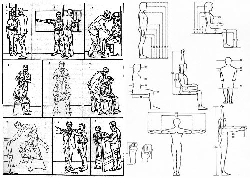 Diseño: imagenes antroponometricas