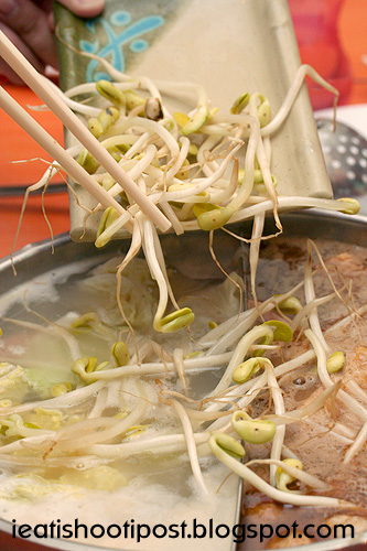 [Big+Bean+Sprouts.jpg]