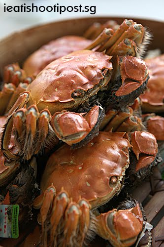 [Crabs.jpg]
