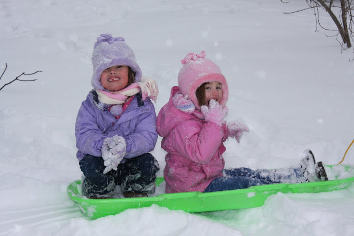 Snow Day in Virginia
