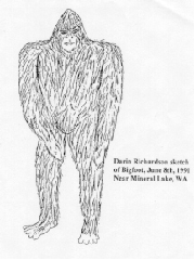 Drawing of Bigfoot I saw