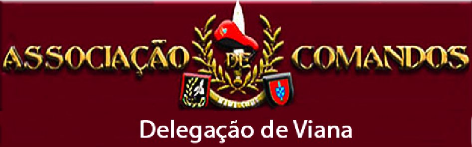 Comandos do Distrito de Viana do Castelo