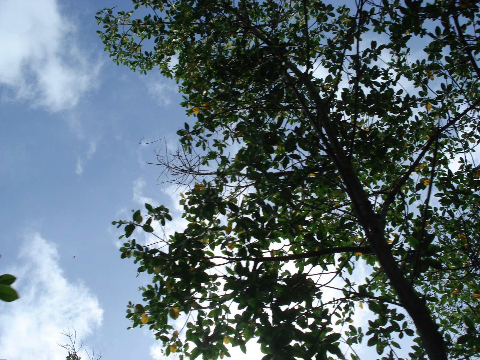 [DSC01883.JPG]