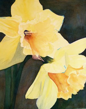 [daffodil1(3).jpg]