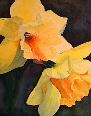 [daffodil1(4).jpg]