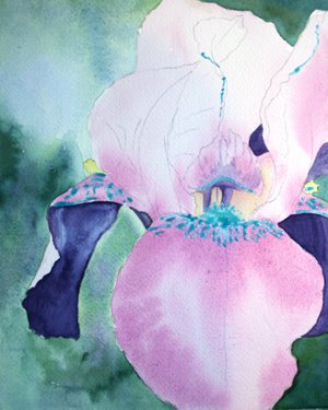 [Iris(1).jpg]
