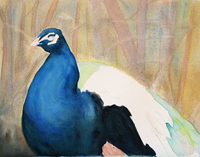 [peacock2.jpg]