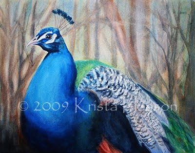 [peacock5.jpg]