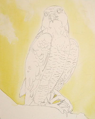 [falcon1.jpg]