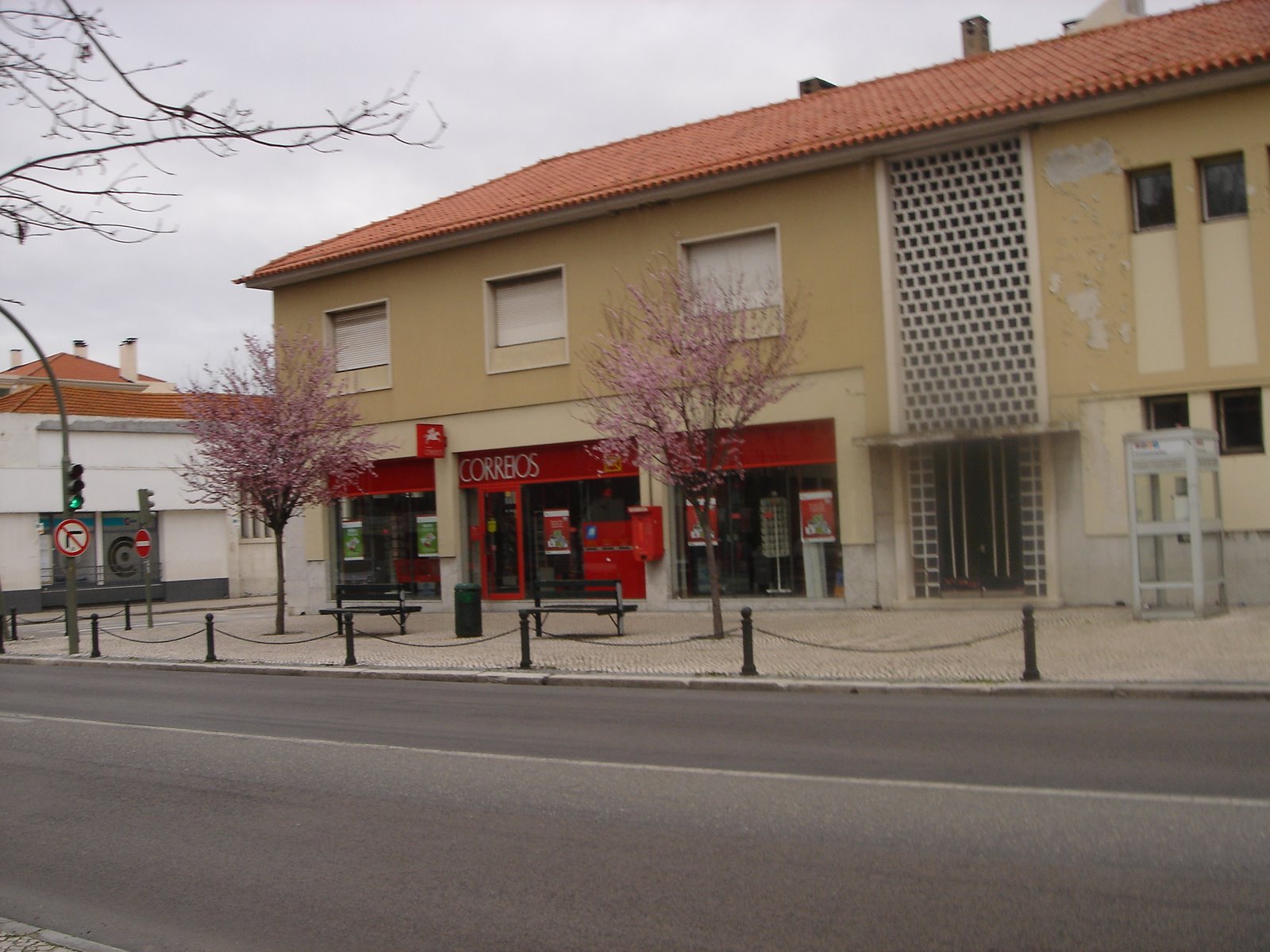 [DSC00216.JPG]