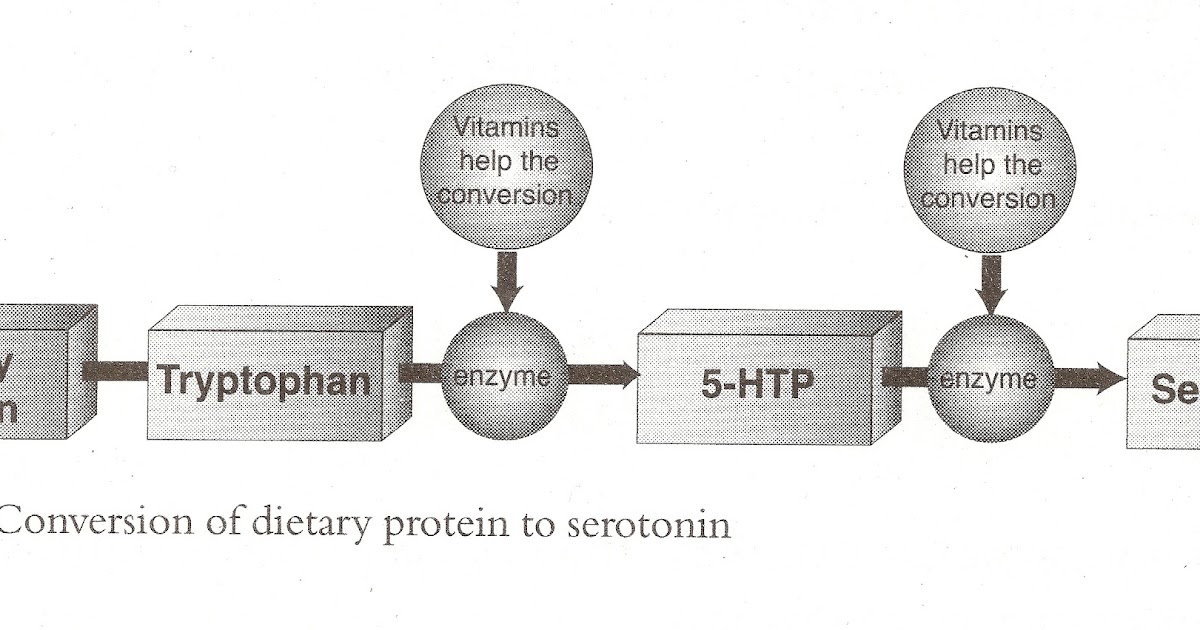 Escape from Depression Chapter 31 LTryptophan > 5HTP > Serotonin