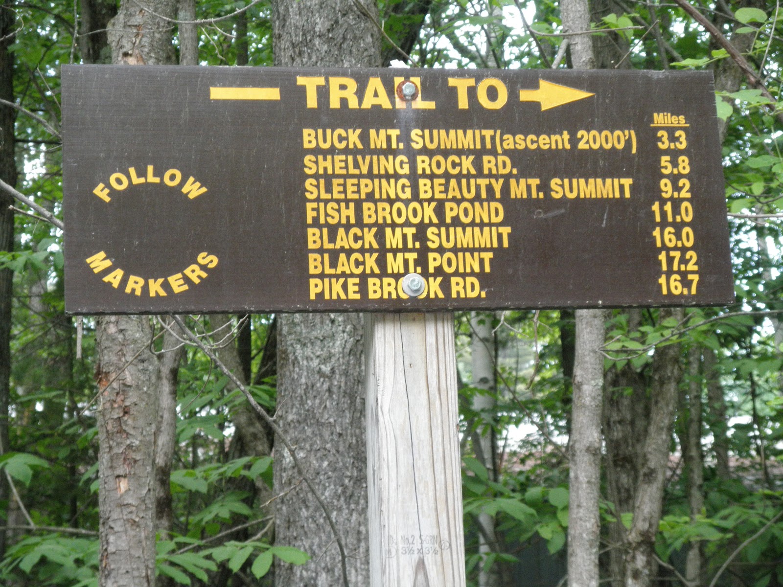 Hiking in the Adirondacks Buck Mountain