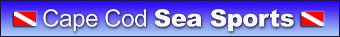 Cape Cod Sea Sports