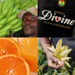 [fairtrade-square.jpg]