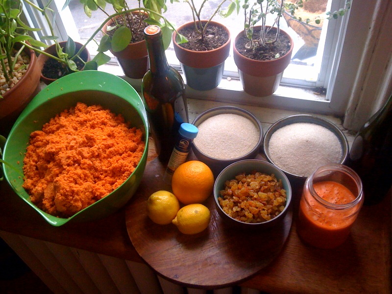 Yeastmaster Carrot Wine