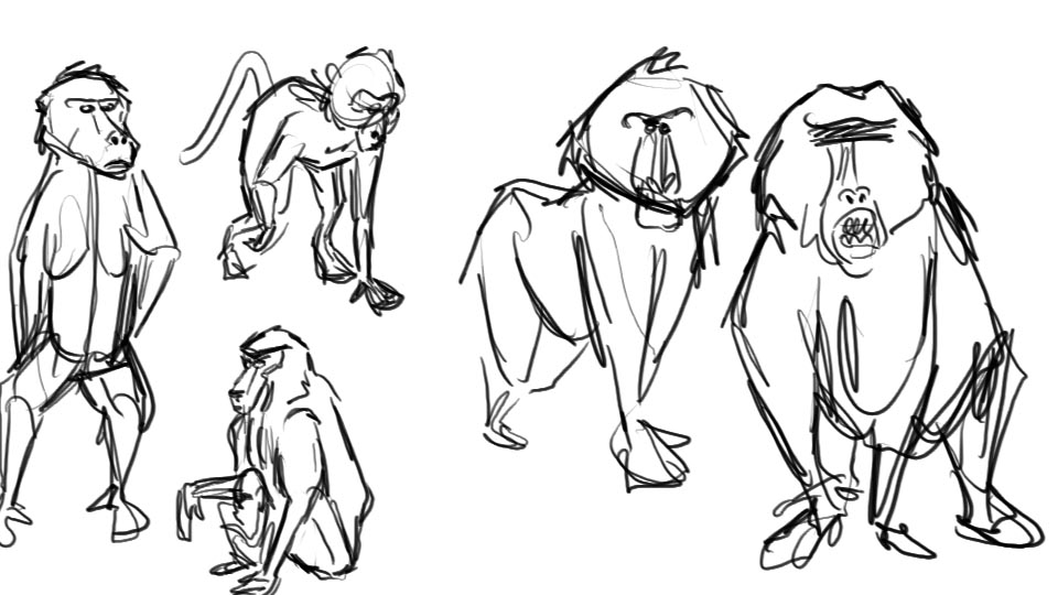 Baboon Sketch