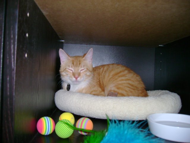 [DSC01093.JPG]