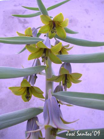 [kew_gardens_03.jpg]