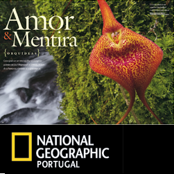 [ng_orquideas.png]