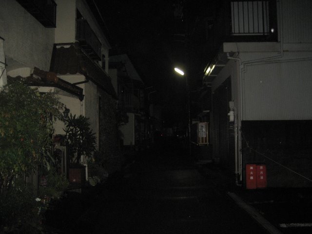 [047.JPG]
