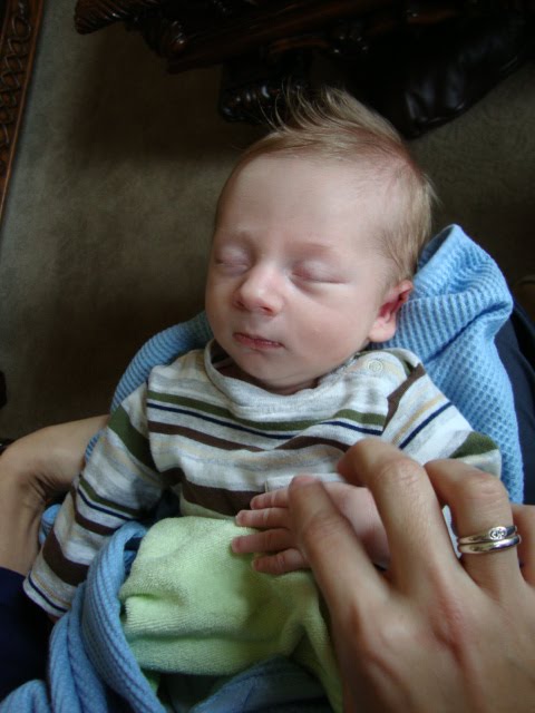 [DSC00063.JPG]