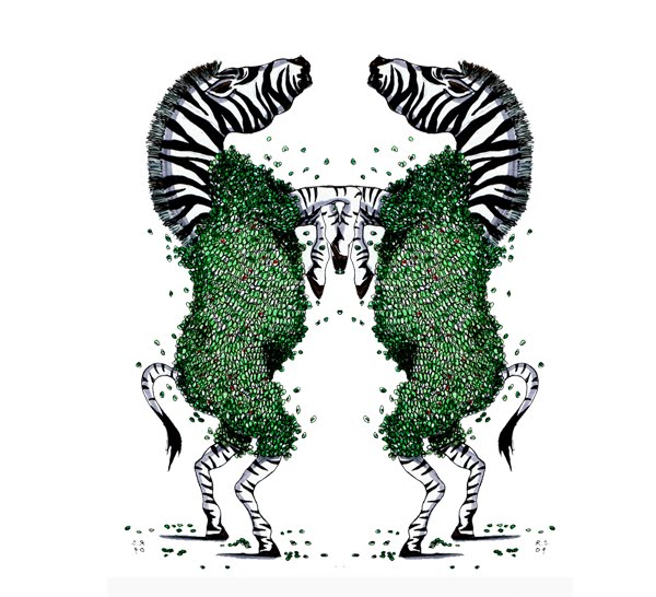[zebra+1.jpg]