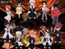 Bleach Group Picture