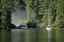Morning Mist