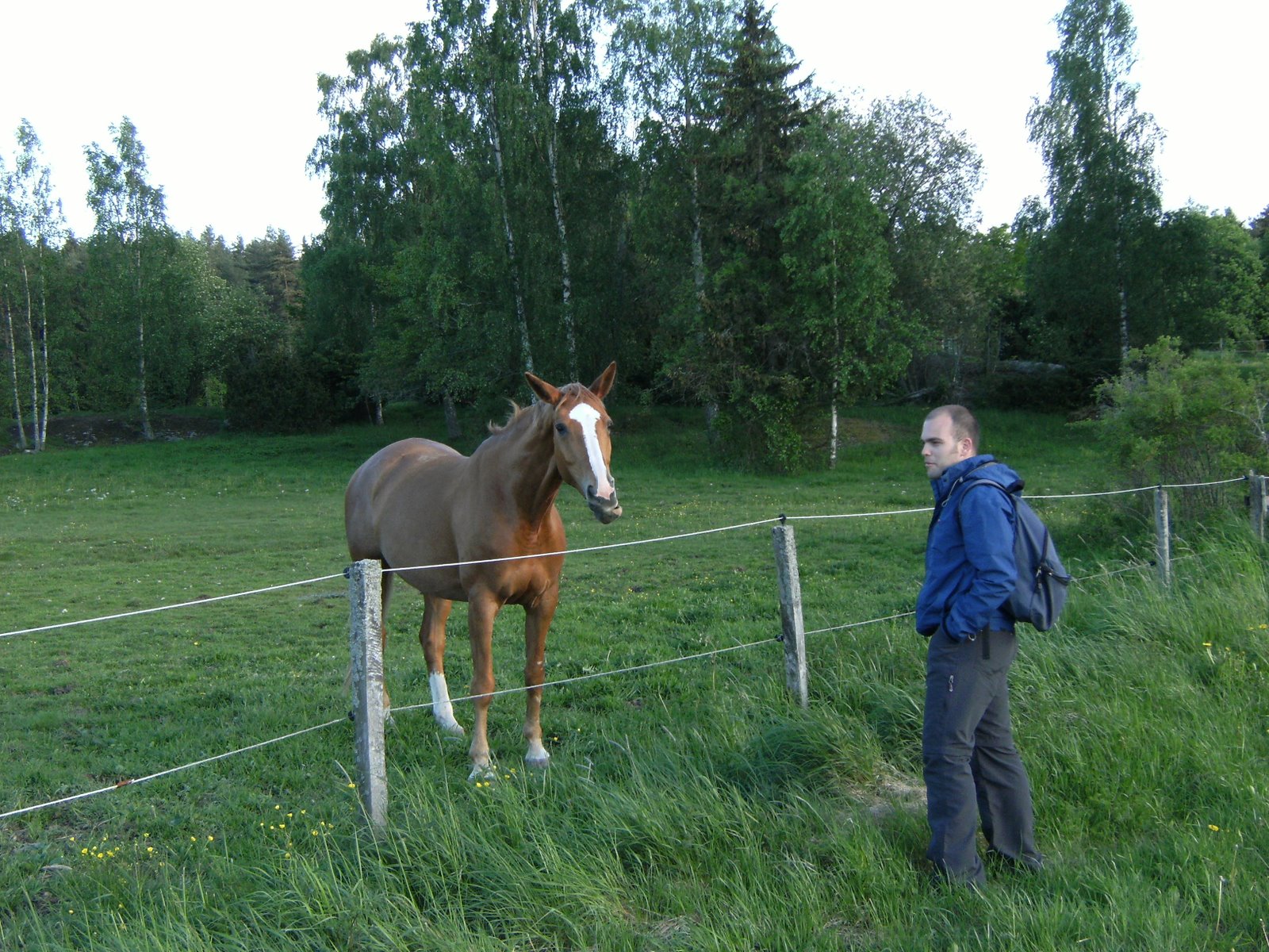 [DSCF1123.JPG]