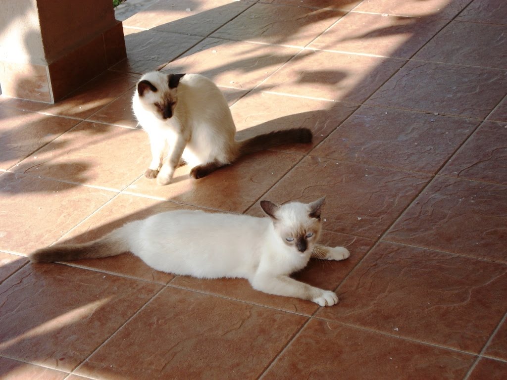 [DSC09949.JPG]