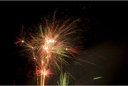 [fireworks.gif]