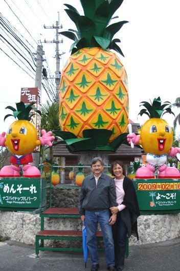 [Pineapple+Park+Revisited.JPG]