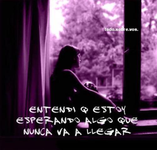 Dejemonos De Cosas Sin Sentido Amemos Mas Y La Vida Sonreira Malditos Sentimientos Confusos Latin regional mexican release date: dejemonos de cosas sin sentido amemos mas y la vida sonreira blogger