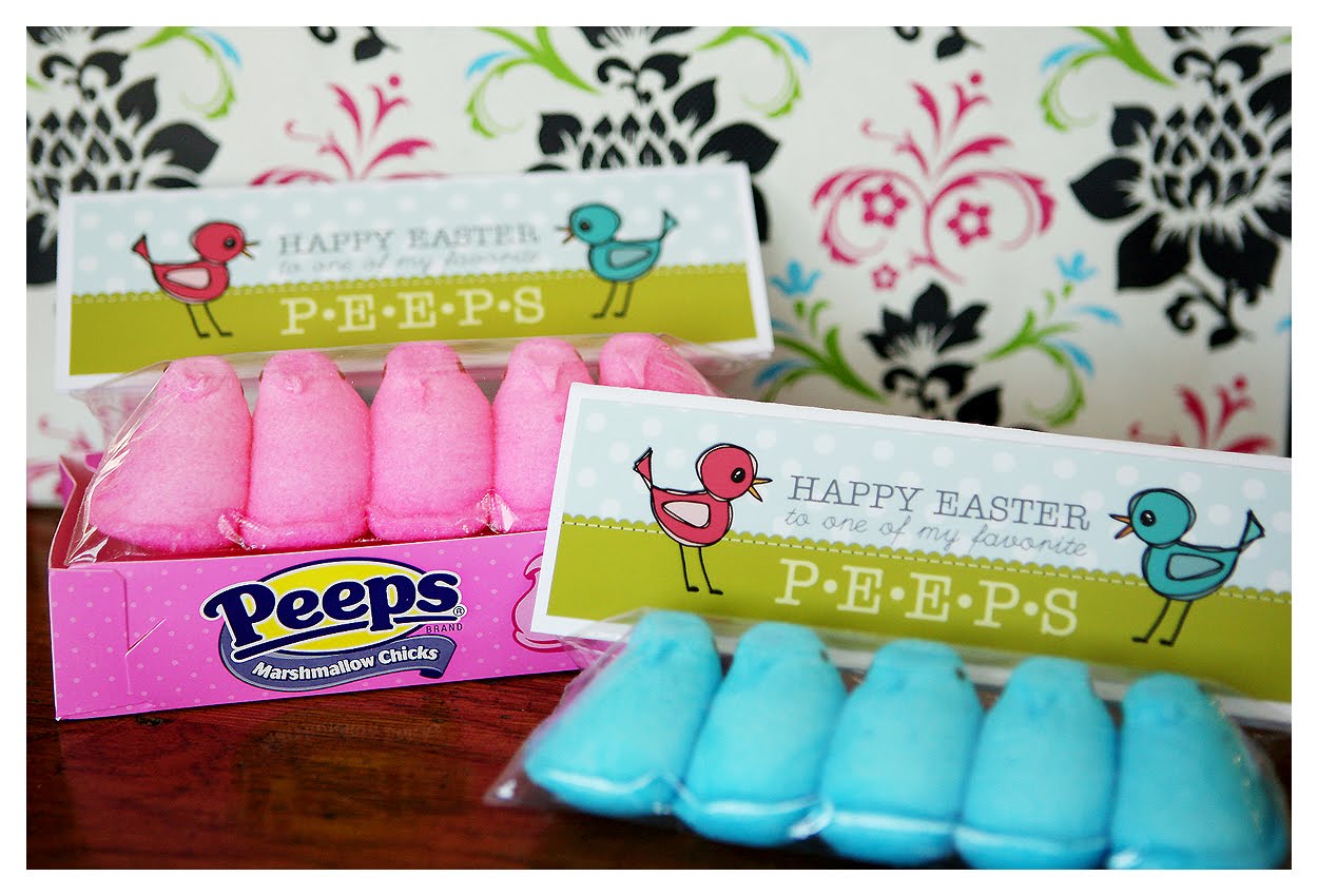 [IMG_4342_webcopy.jpg]