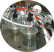 Phd thesis microbial fuel cell